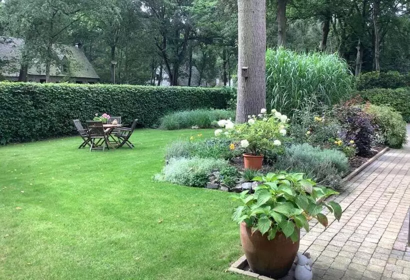 ベッドアンドブレックファースト T Greefsch Geluck