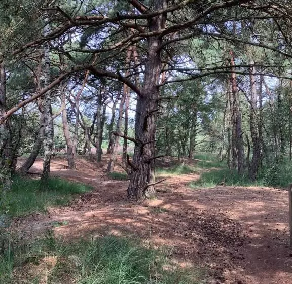 ベッドアンドブレックファースト T Greefsch Geluck