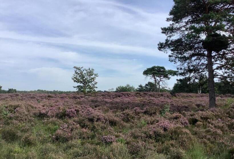 צימר T Greefsch Geluck