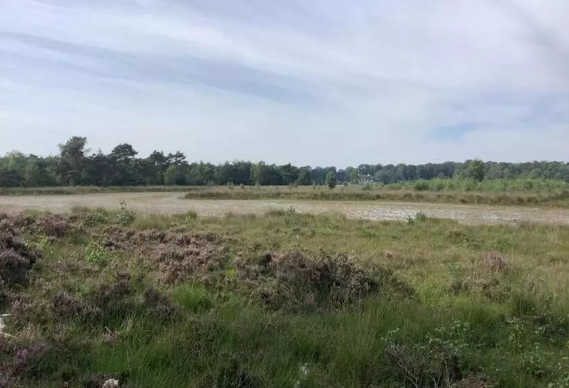 ベッドアンドブレックファースト T Greefsch Geluck