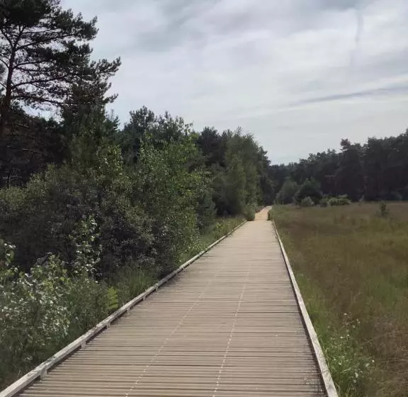 ベッドアンドブレックファースト T Greefsch Geluck