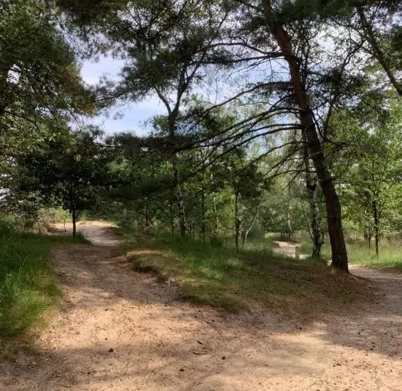 ベッドアンドブレックファースト T Greefsch Geluck