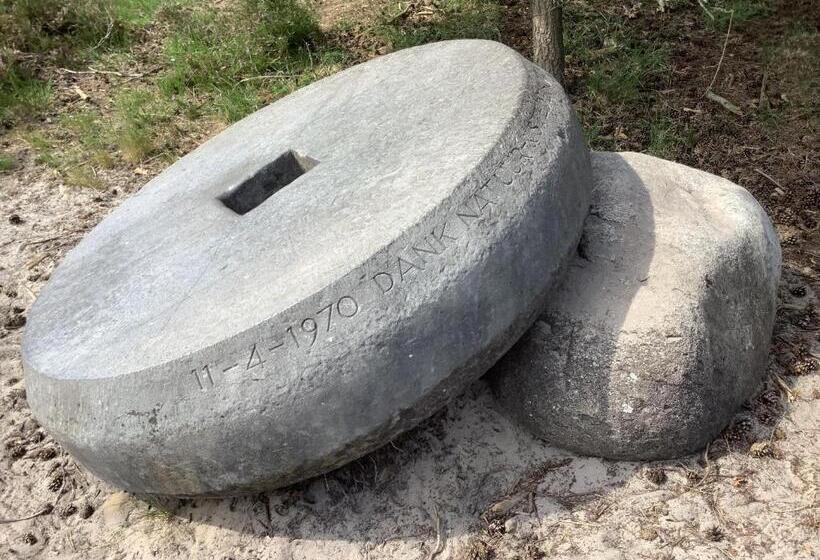 צימר T Greefsch Geluck