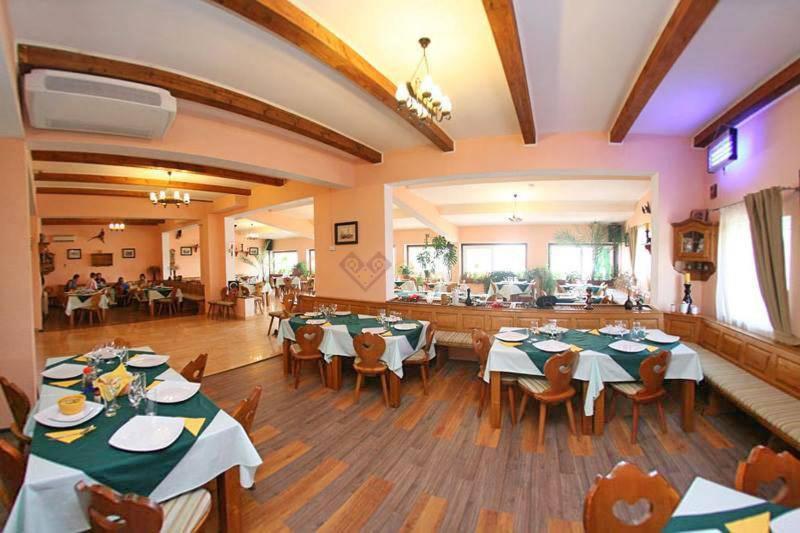 Отель Pensiunea Casa Pescarului Sulina