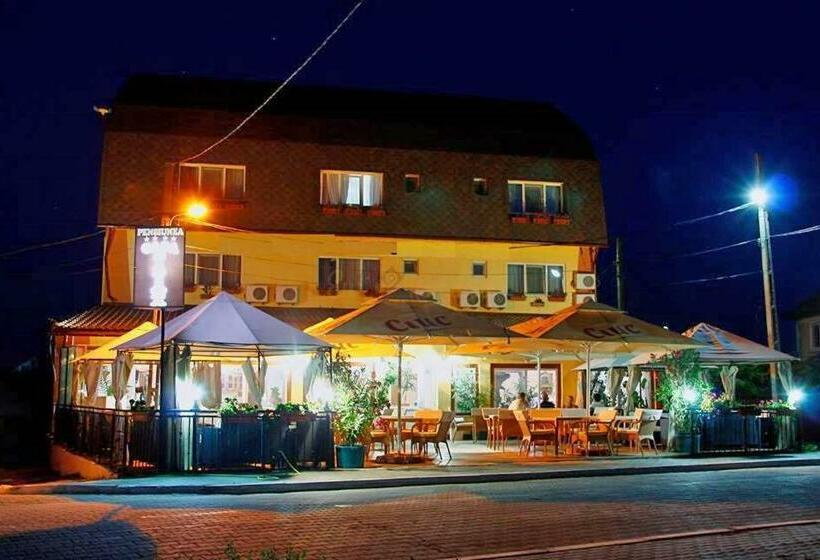 Отель Pensiunea Casa Pescarului Sulina