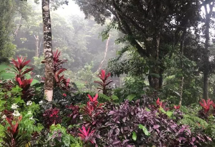 Hotelli Refugio Cariguana