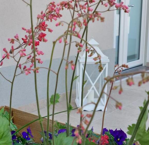 פנסיון Casa Autunno