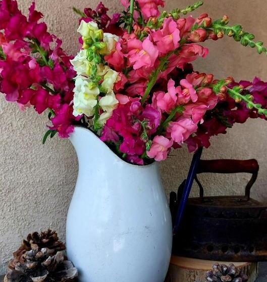 פנסיון Casa Autunno