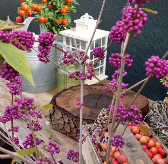 Majatalo Casa Autunno