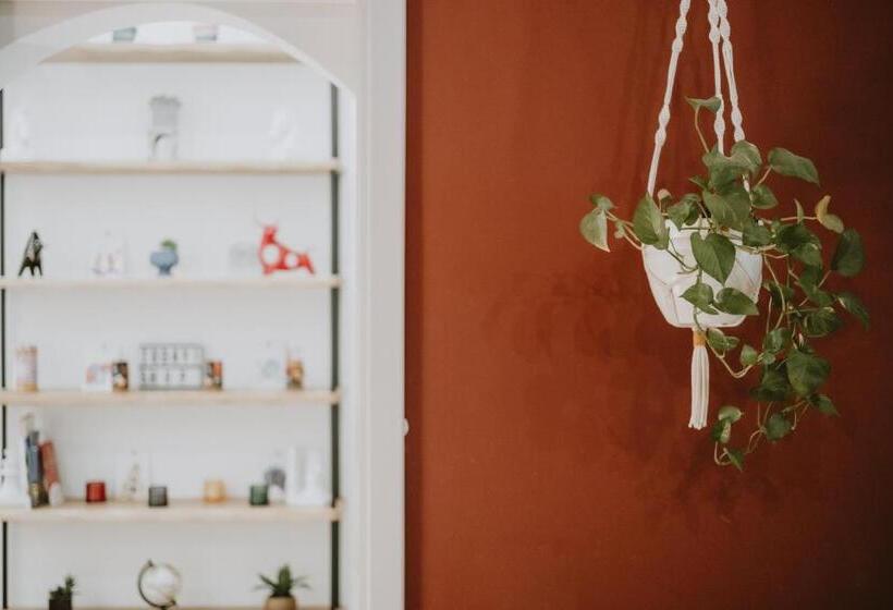 膳宿费 Maravigghia Palermo Rooms