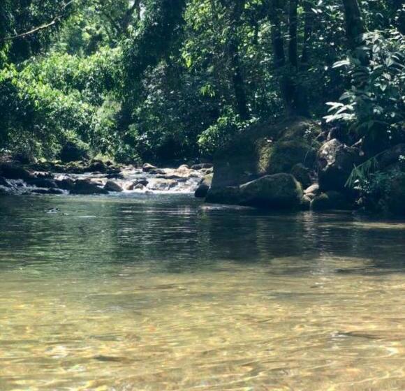 پانسیون Sítio Bagatelle Com Cachoeira E Piscina!