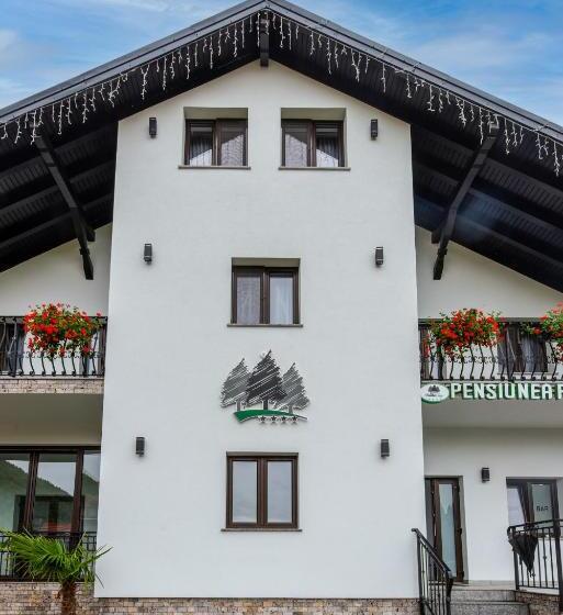 Pensiunea Paradisul Verde