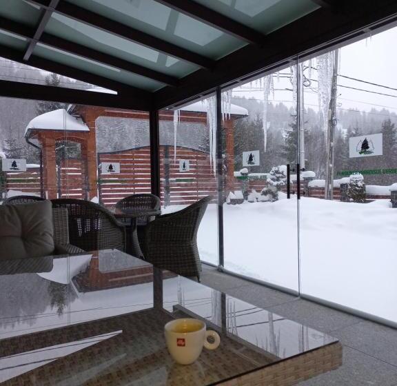 Pensiunea Paradisul Verde