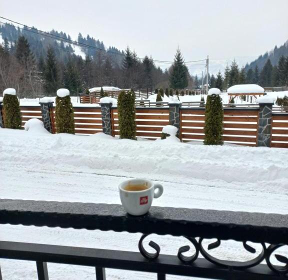 Pensiunea Paradisul Verde