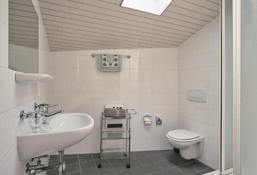 ユースホステル Osteria Grütli Con Alloggio