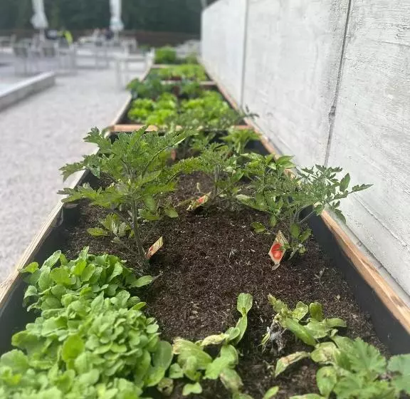 هاستل Waldhaus Talblick