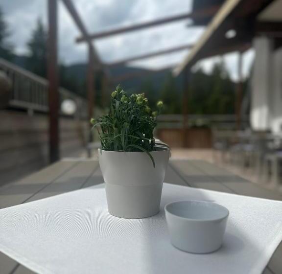 ユースホステル Waldhaus Talblick