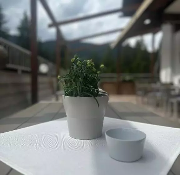 هاستل Waldhaus Talblick