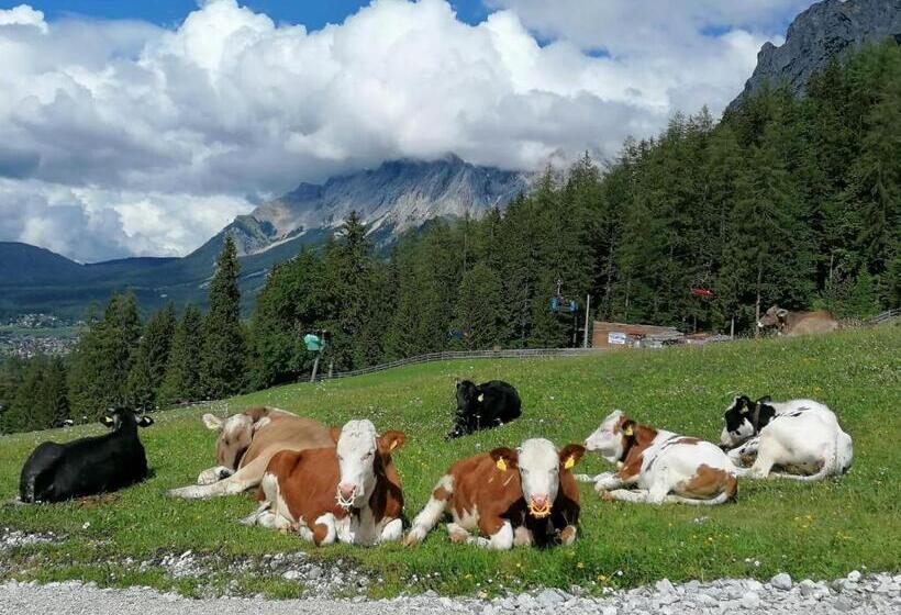 ユースホステル Waldhaus Talblick