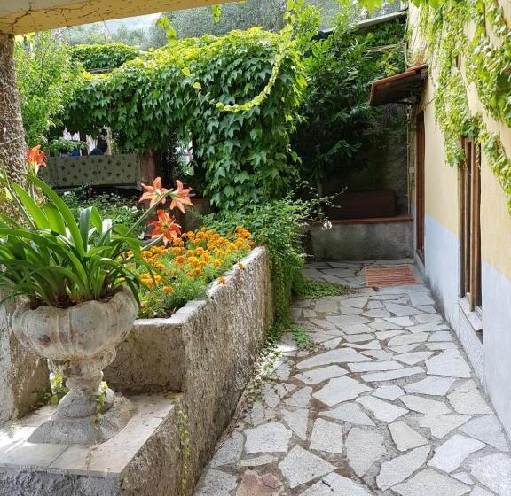 Bed and Breakfast Carugio Del Fezzano