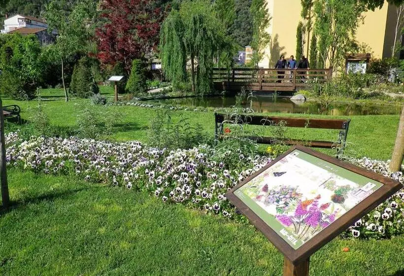 Aamiaismajoitus (B&B) Vesuvio House Appartamento Indipendente E Centrale