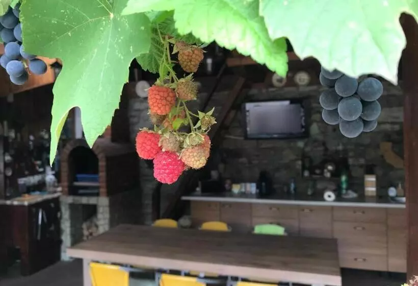 ペンション Casa Maria