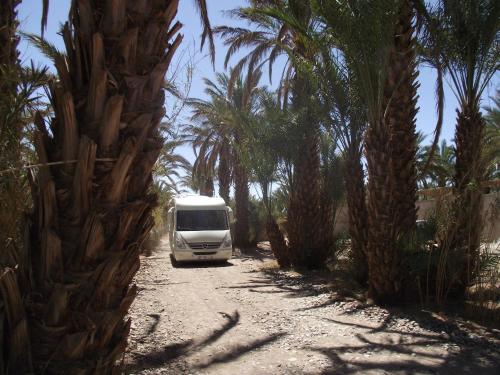 بنسيون Jardin 128 écolodge