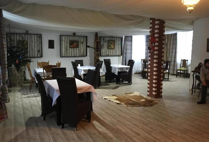 بنسيون La Ionicã Rozavlea Mm