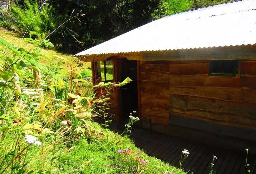 ペンション Refugio Montaña Kultrun Mawida, Habitación Con Baño Y Cocina Privada