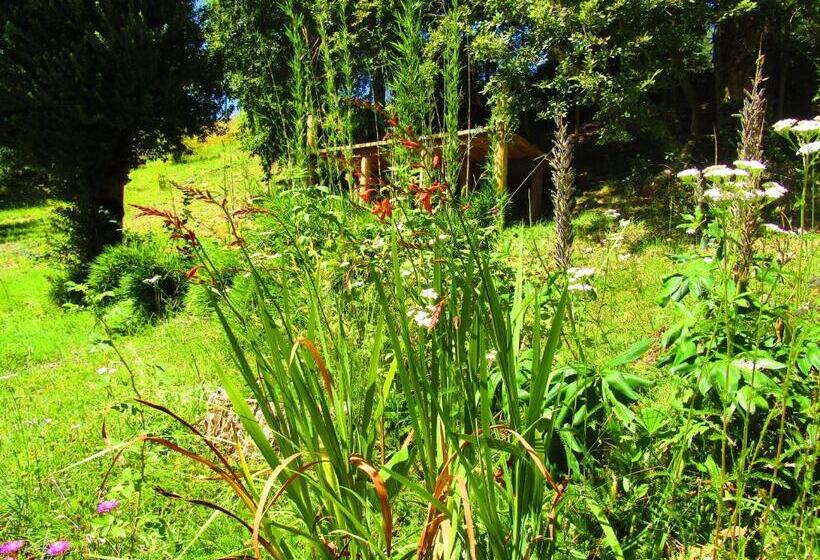 پانسیون Refugio Montaña Kultrun Mawida, Habitación Con Baño Y Cocina Privada