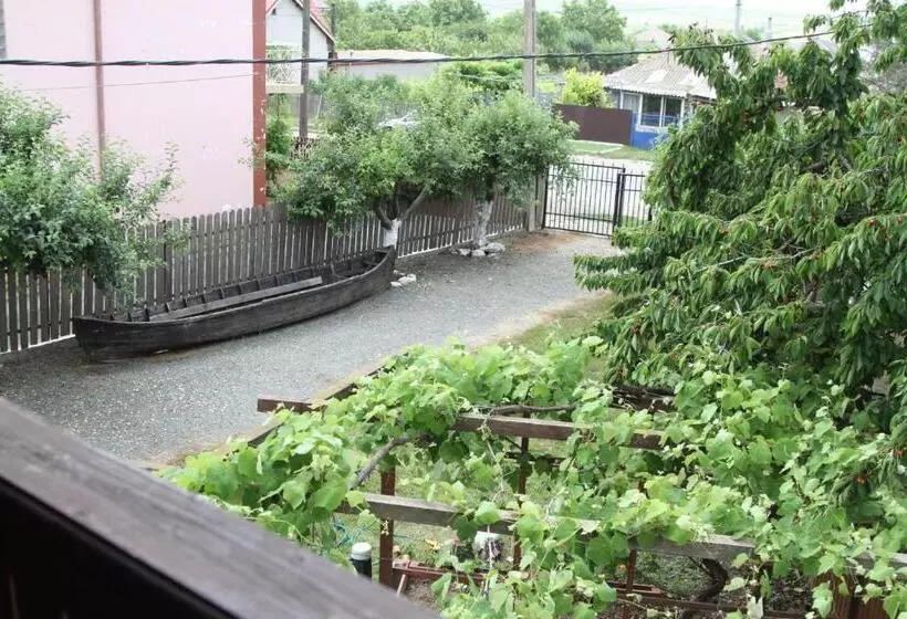 ペンション Vila Toate Panzele Sus