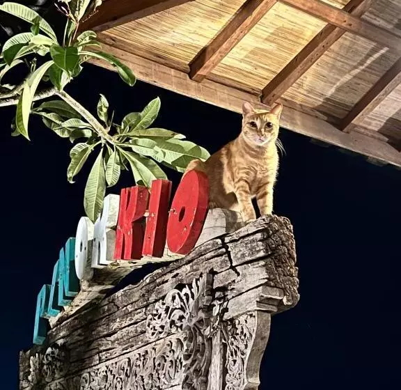 Pinokkio B&b Restaurant