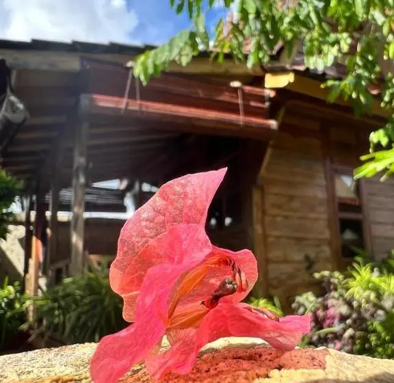 Pinokkio B&b Restaurant