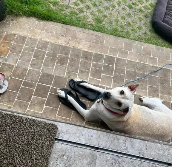 Pinokkio B&b Restaurant