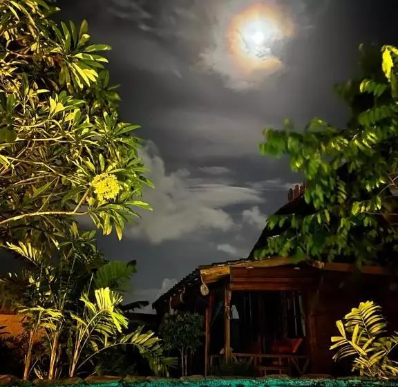 Pinokkio B&b Restaurant