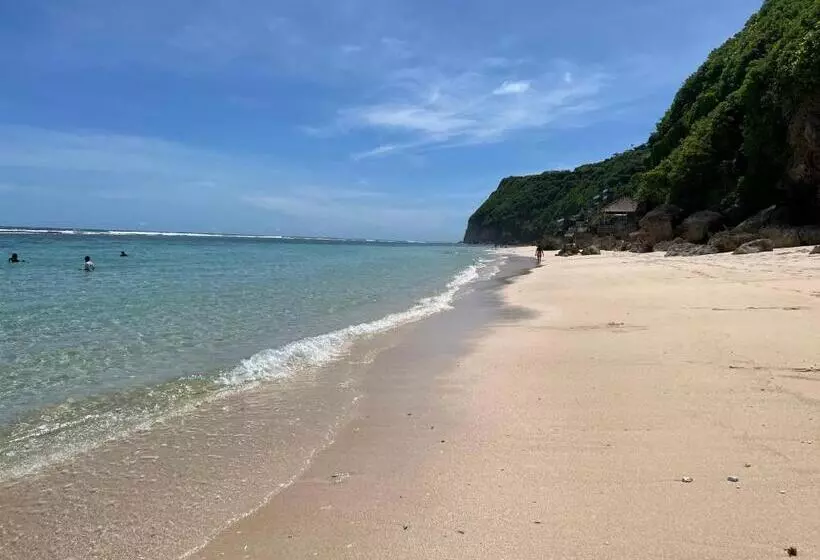 Pinokkio B&b Restaurant