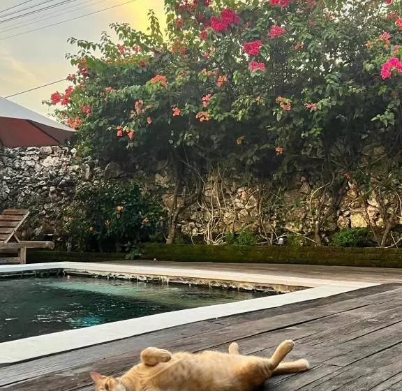 Pinokkio B&b Restaurant