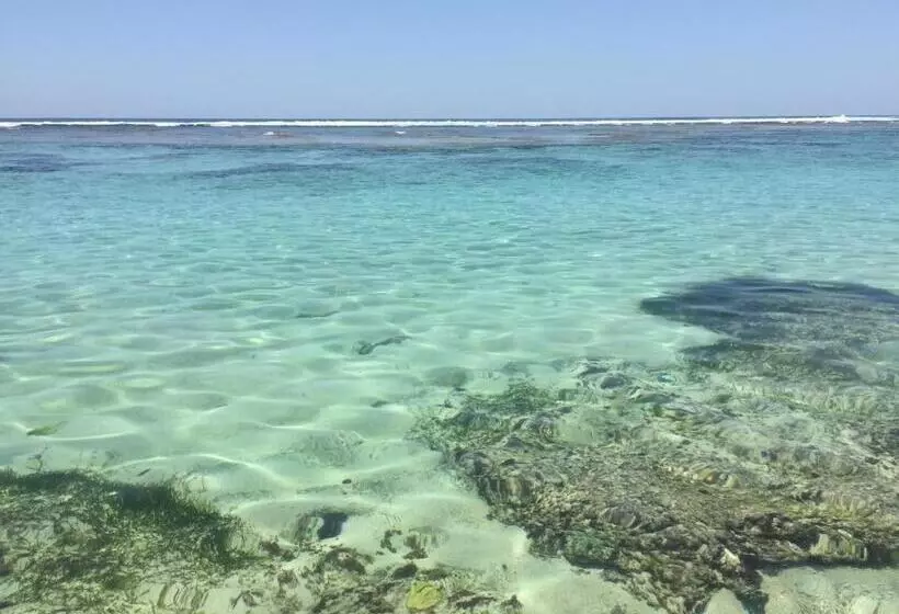 Pinokkio B&b Restaurant