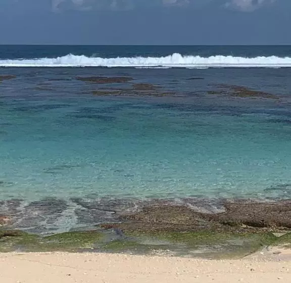 Pinokkio B&b Restaurant