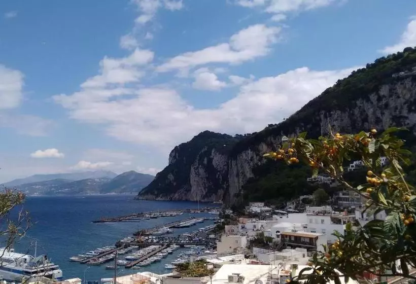 Bed and Breakfast Soleluna