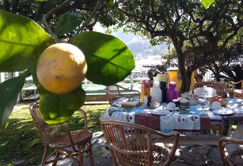 Bed and Breakfast Soleluna