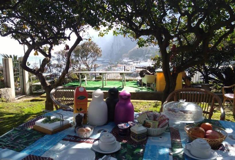 تختخواب و صبحانه Soleluna