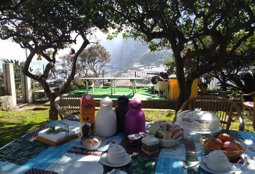 Bed and Breakfast Soleluna