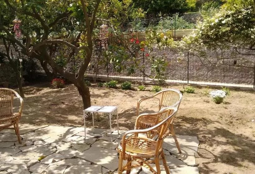 Bed and Breakfast Soleluna