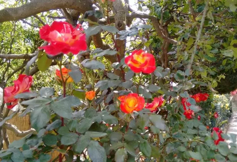 Bed and Breakfast Soleluna