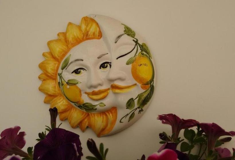 تختخواب و صبحانه Soleluna