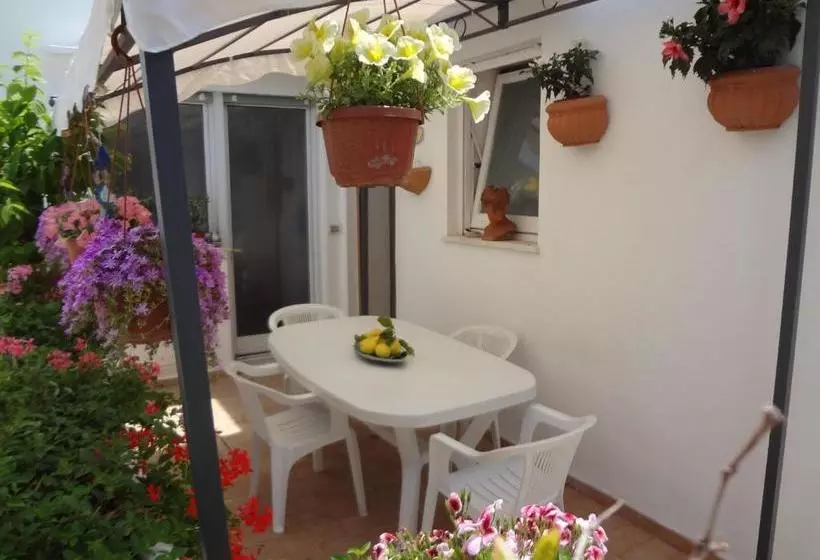 Bed and Breakfast Soleluna