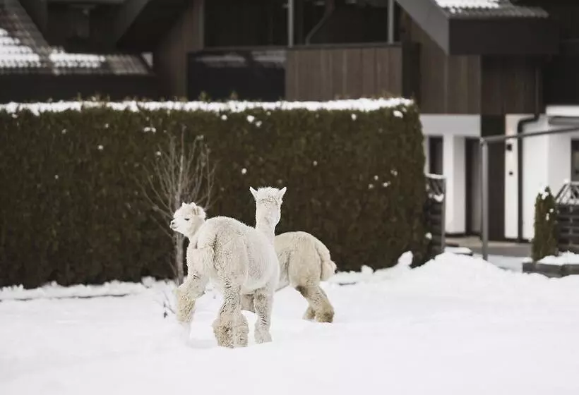 Family Aparthotel Winklwiese