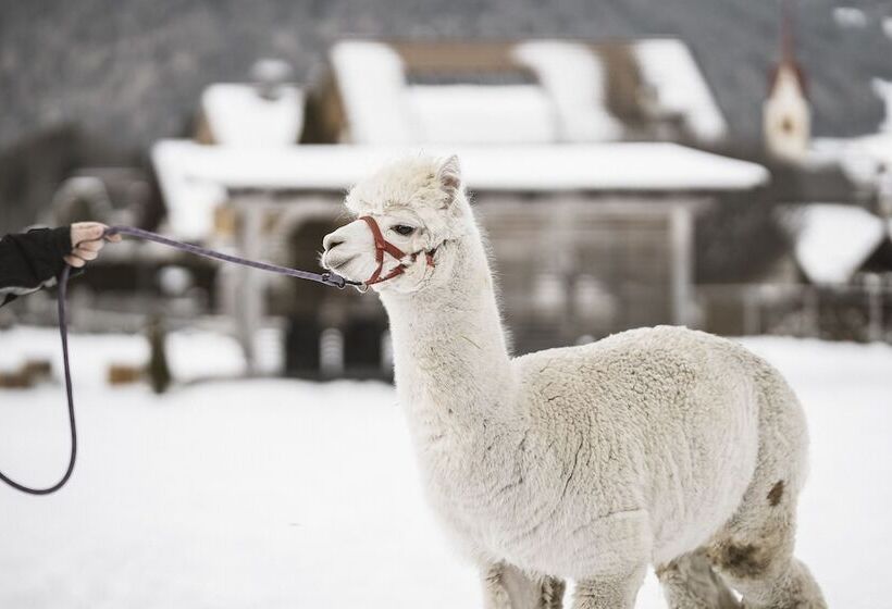 Family Aparthotel Winklwiese