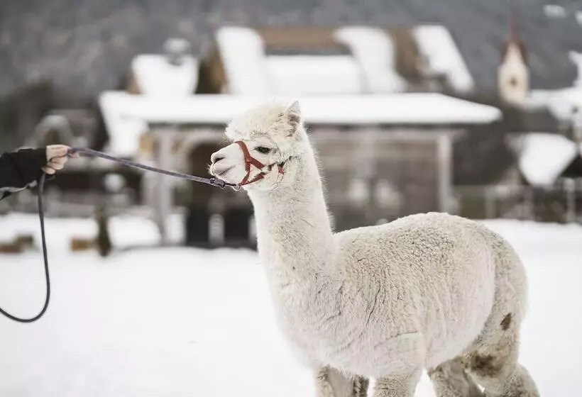 Family Aparthotel Winklwiese